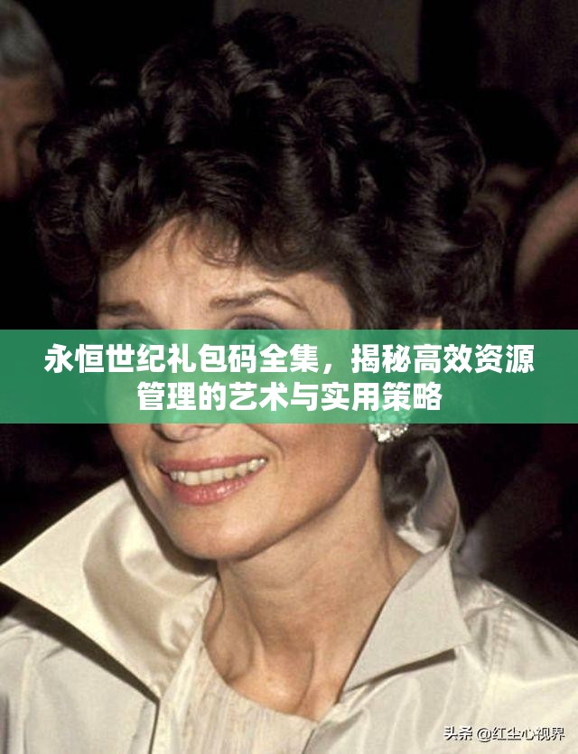 永恒世紀(jì)禮包碼全集，揭秘高效資源管理的藝術(shù)與實(shí)用策略