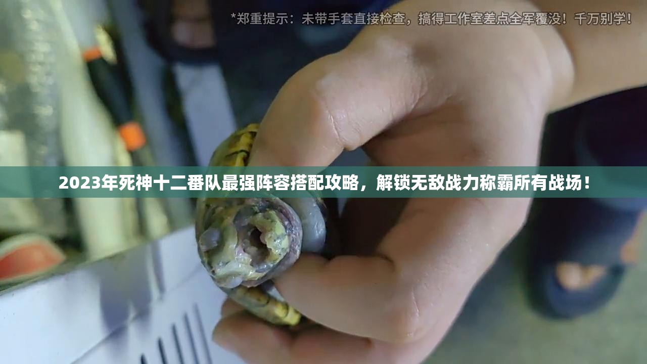 2023年死神十二番隊最強陣容搭配攻略，解鎖無敵戰(zhàn)力稱霸所有戰(zhàn)場！