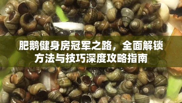 肥鵝健身房冠軍之路，全面解鎖方法與技巧深度攻略指南