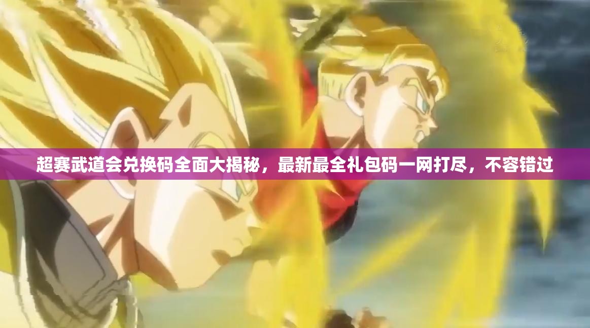 超賽武道會兌換碼全面大揭秘，最新最全禮包碼一網(wǎng)打盡，不容錯過