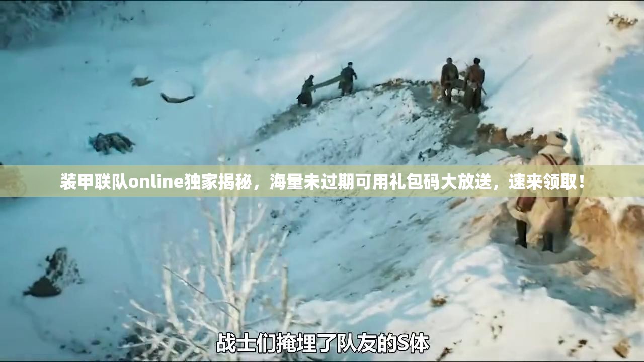 裝甲聯(lián)隊online獨家揭秘，海量未過期可用禮包碼大放送，速來領??！