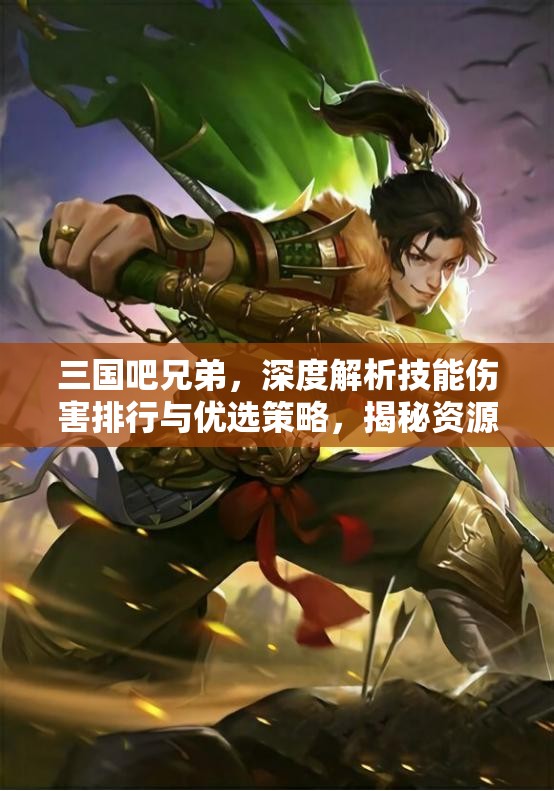三國(guó)吧兄弟，深度解析技能傷害排行與優(yōu)選策略，揭秘資源管理的高效藝術(shù)