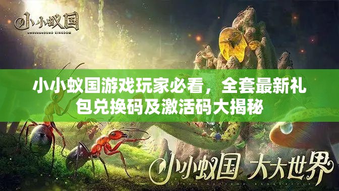 小小蟻國游戲玩家必看，全套最新禮包兌換碼及激活碼大揭秘