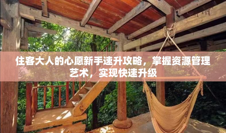 住客大人的心愿新手速升攻略，掌握資源管理藝術(shù)，實現(xiàn)快速升級
