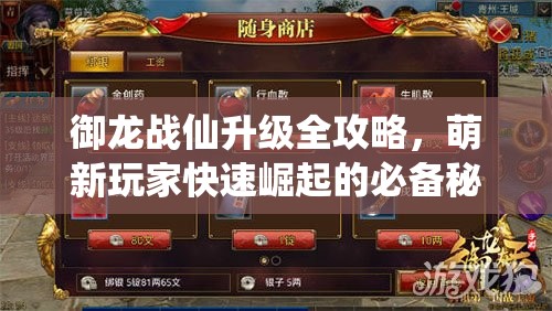 御龍戰(zhàn)仙升級全攻略，萌新玩家快速崛起的必備秘籍與技巧