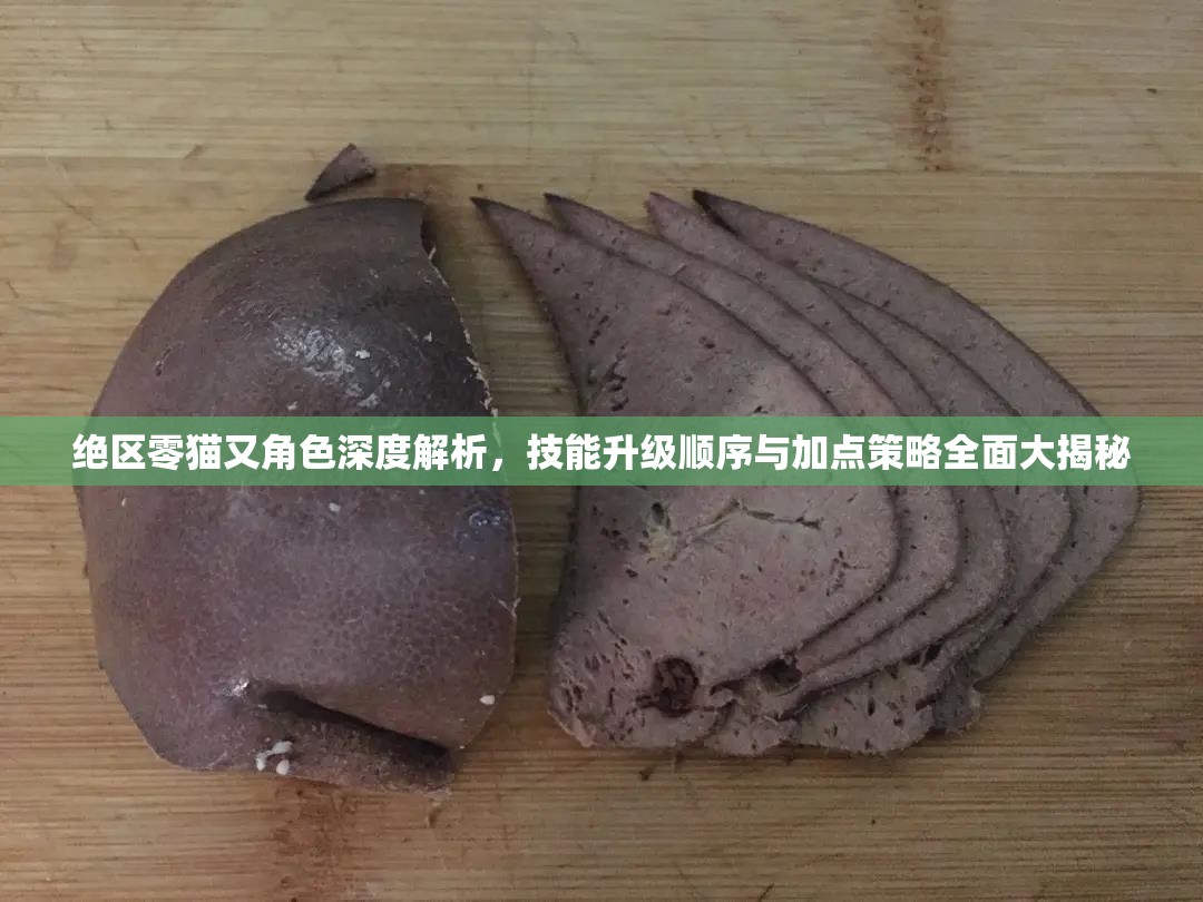 絕區(qū)零貓又角色深度解析，技能升級順序與加點策略全面大揭秘