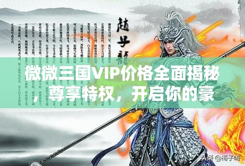 微微三國VIP價格全面揭秘，尊享特權(quán)，開啟你的豪華三國游戲之旅
