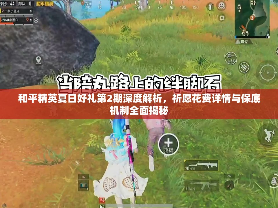 和平精英夏日好禮第2期深度解析，祈愿花費(fèi)詳情與保底機(jī)制全面揭秘