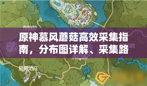 原神慕風(fēng)蘑菇高效采集指南，分布圖詳解、采集路線規(guī)劃及商人位置一網(wǎng)打盡
