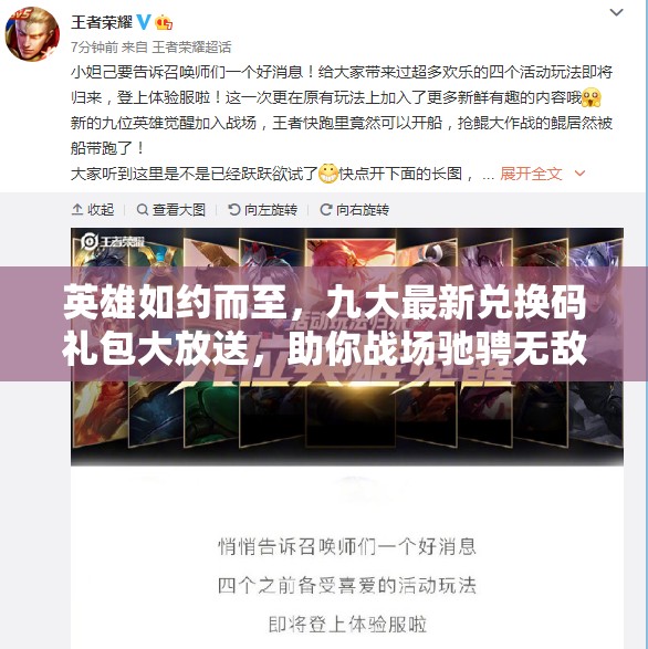 英雄如約而至，九大最新兌換碼禮包大放送，助你戰(zhàn)場馳騁無敵手！