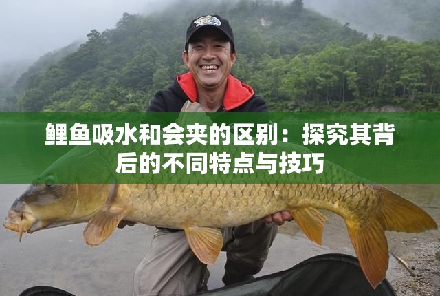 鯉魚吸水和會夾的區(qū)別：探究其背后的不同特點與技巧