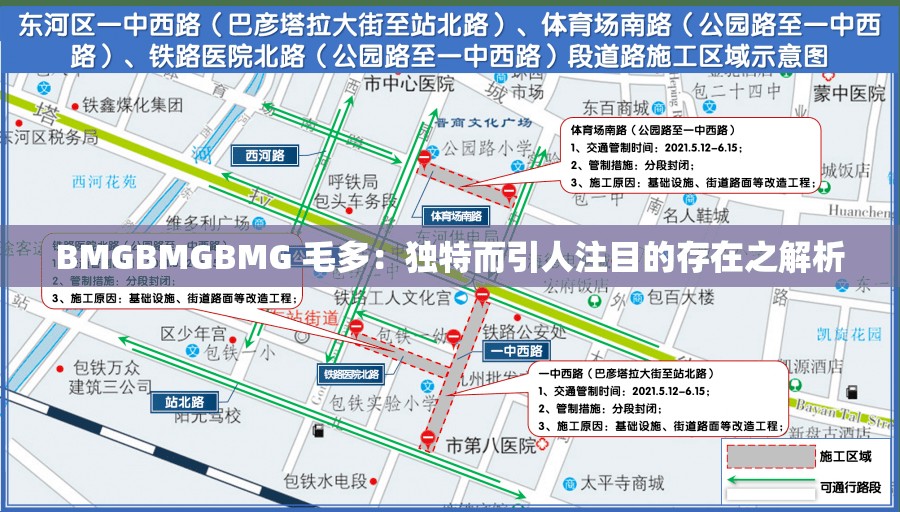 BMGBMGBMG 毛多：獨特而引人注目的存在之解析