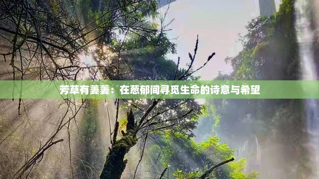 芳草有萋萋：在蔥郁間尋覓生命的詩意與希望