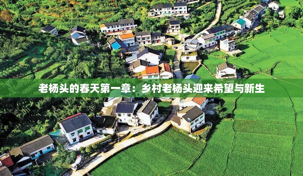 老楊頭的春天第一章：鄉(xiāng)村老楊頭迎來希望與新生