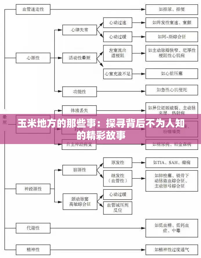 玉米地方的那些事：探尋背后不為人知的精彩故事