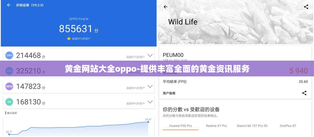 黃金網站大全oppo-提供豐富全面的黃金資訊服務