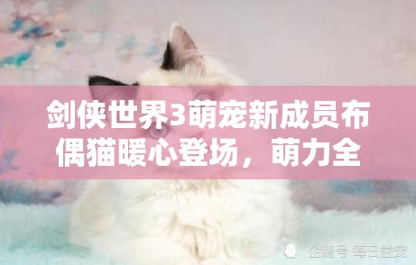 劍俠世界3萌寵新成員布偶貓暖心登場，萌力全開陪伴玩家闖蕩江湖