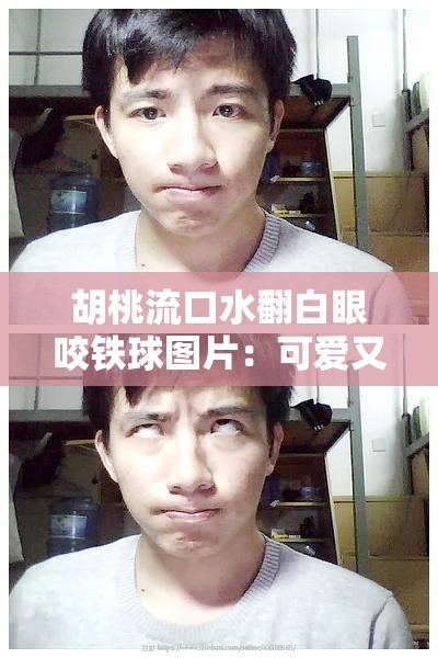 胡桃流口水翻白眼咬鐵球圖片：可愛又搞怪的獨(dú)特瞬間
