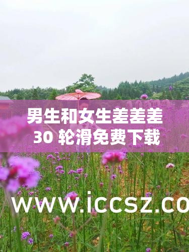 男生和女生差差差 30 輪滑免費(fèi)下載：探尋輪滑背后的故事與樂趣