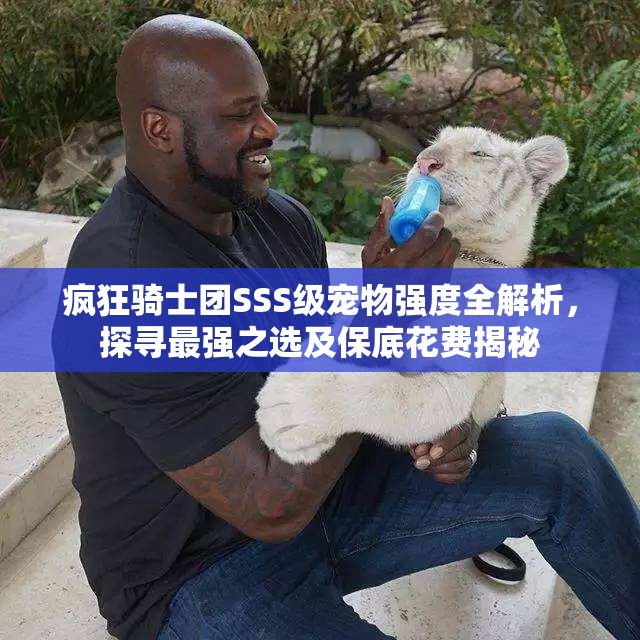 瘋狂騎士團(tuán)SSS級寵物強度全解析，探尋最強之選及保底花費揭秘