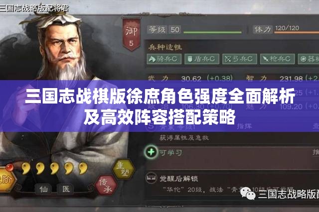 三國志戰(zhàn)棋版徐庶角色強度全面解析及高效陣容搭配策略