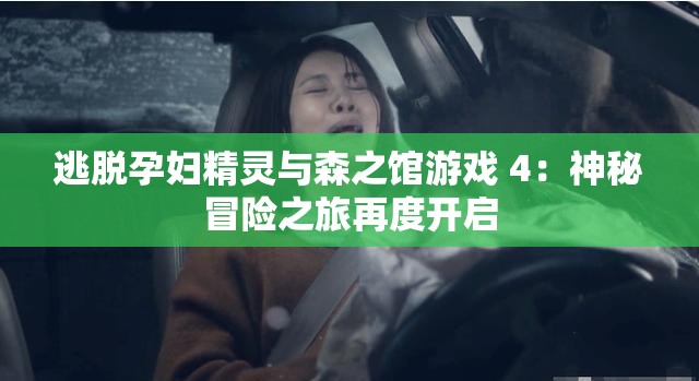 逃脫孕婦精靈與森之館游戲 4：神秘冒險(xiǎn)之旅再度開(kāi)啟