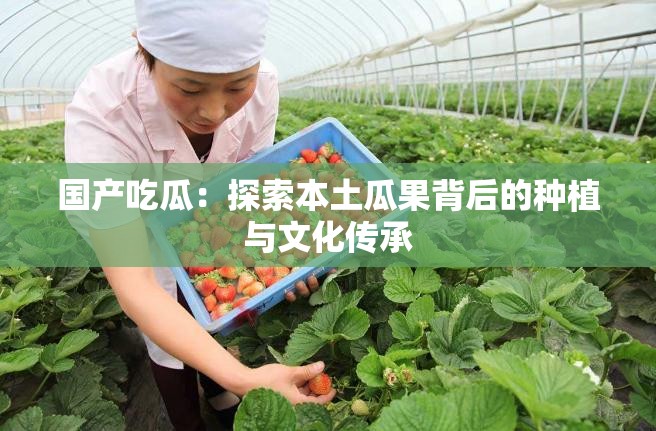 國(guó)產(chǎn)吃瓜：探索本土瓜果背后的種植與文化傳承