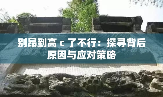別昂到高 c 了不行：探尋背后原因與應(yīng)對策略