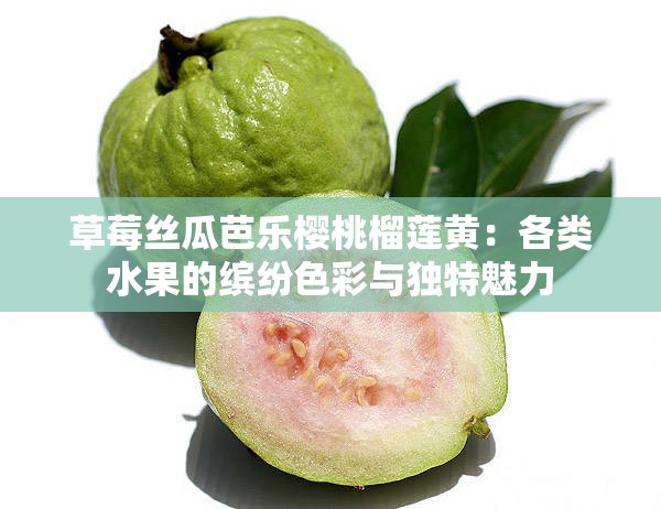 草莓絲瓜芭樂櫻桃榴蓮黃：各類水果的繽紛色彩與獨特魅力