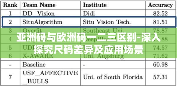 亞洲碼與歐洲碼一二三區(qū)別-深入探究尺碼差異及應(yīng)用場景