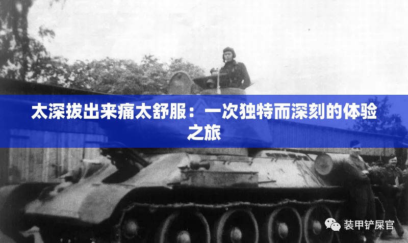太深拔出來痛太舒服：一次獨(dú)特而深刻的體驗(yàn)之旅