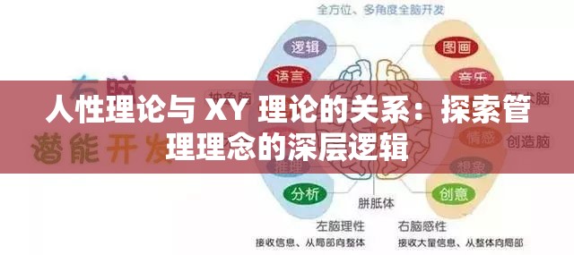 人性理論與 XY 理論的關(guān)系：探索管理理念的深層邏輯
