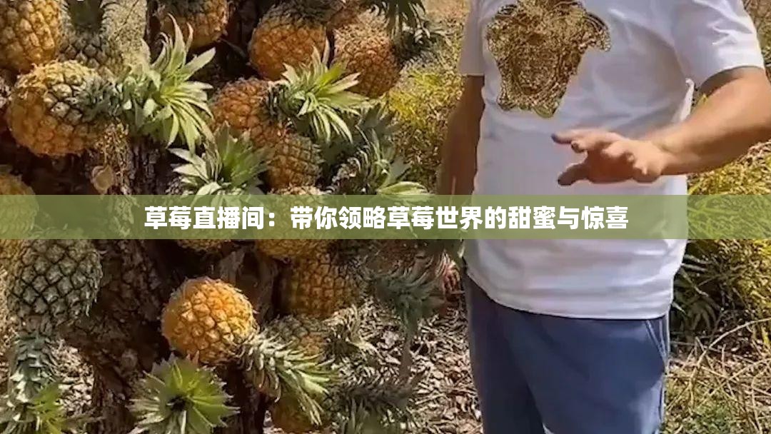 草莓直播間：帶你領(lǐng)略草莓世界的甜蜜與驚喜