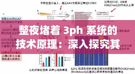整夜堵著 3ph 系統(tǒng)的技術(shù)原理：深入探究其內(nèi)在機制與應(yīng)用前景