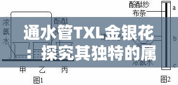 通水管TXL金銀花：探究其獨(dú)特的屬性與用途