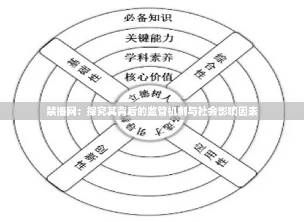 禁播網(wǎng)：探究其背后的監(jiān)管機(jī)制與社會影響因素