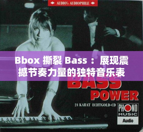 Bbox 撕裂 Bass ：展現(xiàn)震撼節(jié)奏力量的獨(dú)特音樂表演