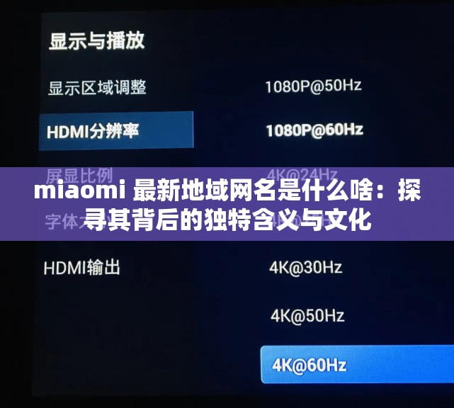 miaomi 最新地域網(wǎng)名是什么啥：探尋其背后的獨(dú)特含義與文化