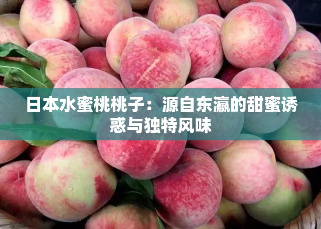 日本水蜜桃桃子：源自東瀛的甜蜜誘惑與獨特風味