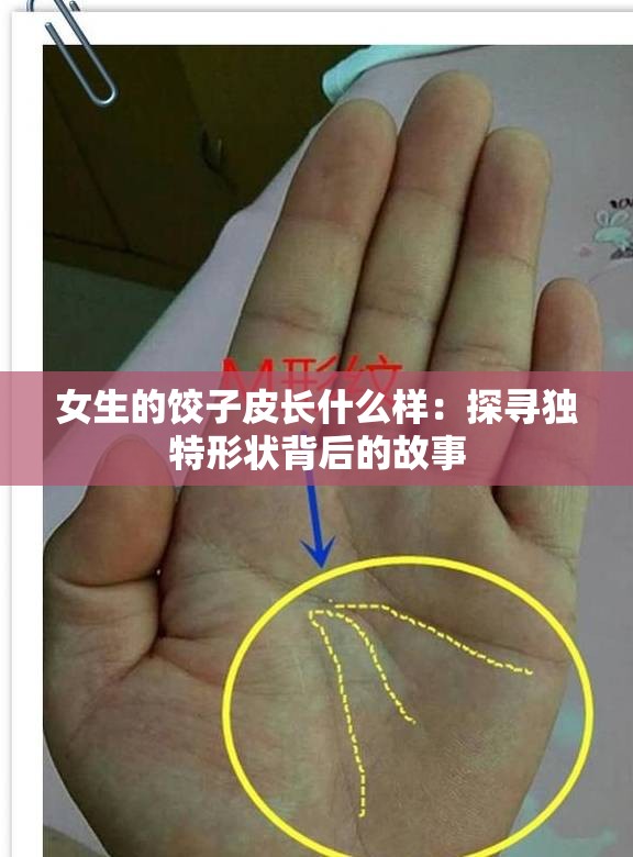 女生的餃子皮長什么樣：探尋獨(dú)特形狀背后的故事