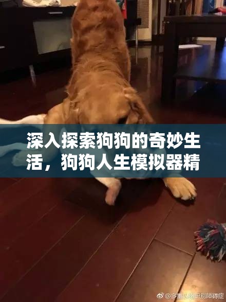 深入探索狗狗的奇妙生活，狗狗人生模擬器精彩截圖全面大揭秘