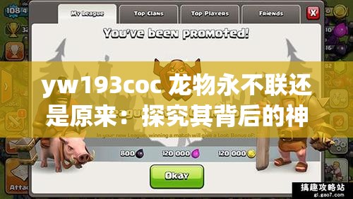 yw193coc 龍物永不聯(lián)還是原來：探究其背后的神秘與獨特之處