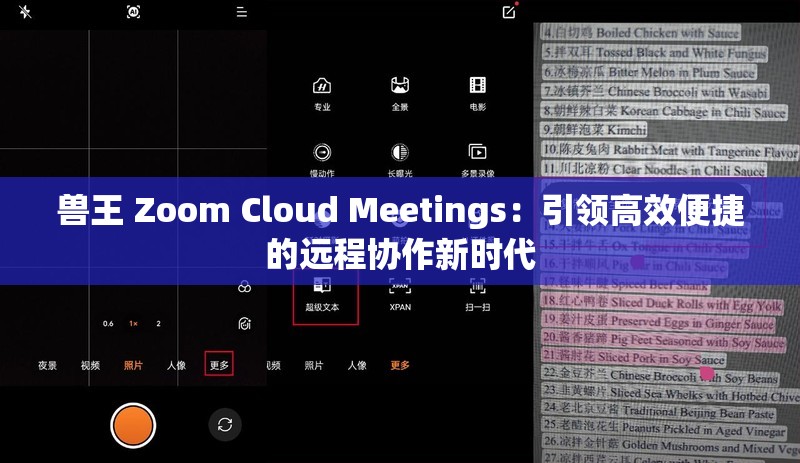 獸王 Zoom Cloud Meetings：引領高效便捷的遠程協(xié)作新時代