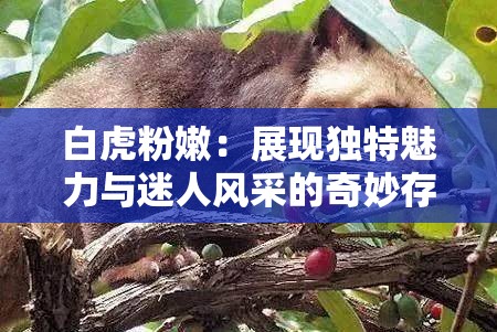 白虎粉嫩：展現(xiàn)獨特魅力與迷人風采的奇妙存在