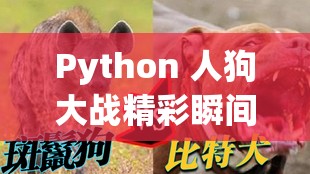 Python 人狗大戰(zhàn)精彩瞬間：令人熱血沸騰的激烈對決