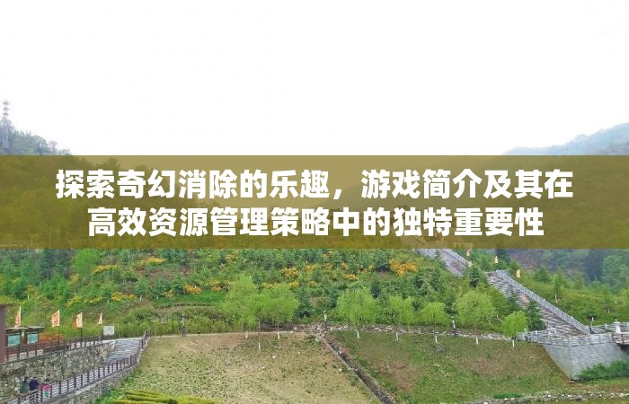 探索奇幻消除的樂(lè)趣，游戲簡(jiǎn)介及其在高效資源管理策略中的獨(dú)特重要性