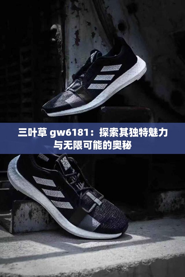 三葉草 gw6181：探索其獨(dú)特魅力與無限可能的奧秘