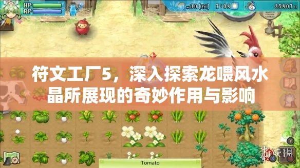 符文工廠5，深入探索龍喂風(fēng)水晶所展現(xiàn)的奇妙作用與影響