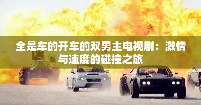 全是車的開車的雙男主電視?。杭で榕c速度的碰撞之旅