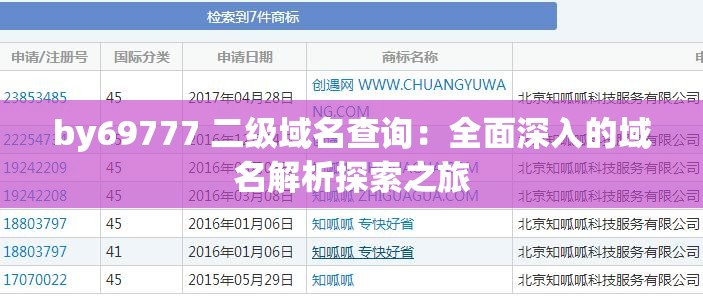 by69777 二級域名查詢：全面深入的域名解析探索之旅
